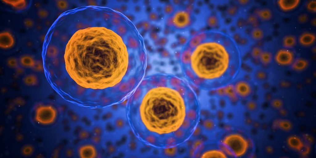 KEIN Virus - sondern Zellen, gesunde menschliche Zellen... bleiben Sie gesund! (Bild von Arek Socha auf Pixabay)